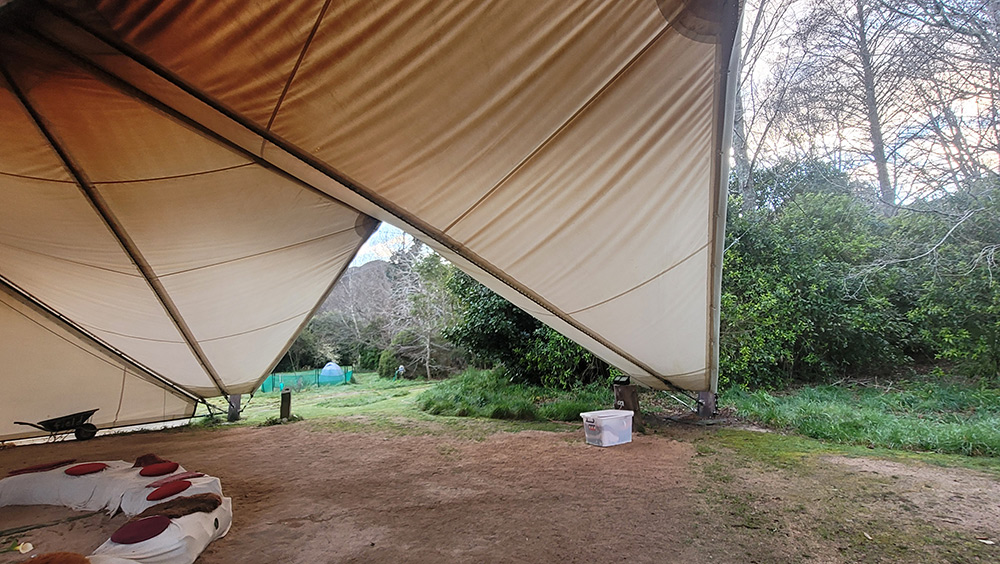 pentacles-gallery-11