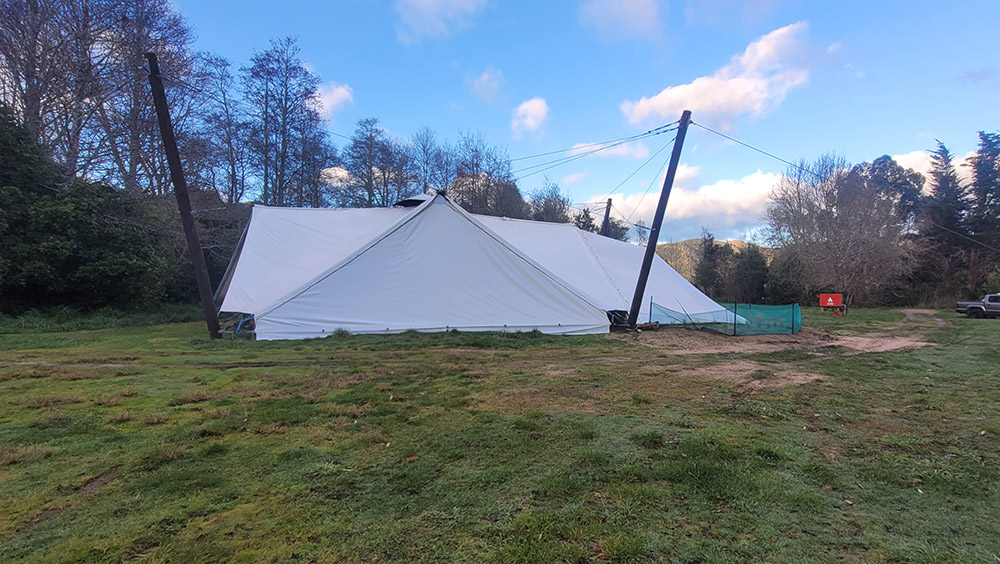 pentacles-gallery-13