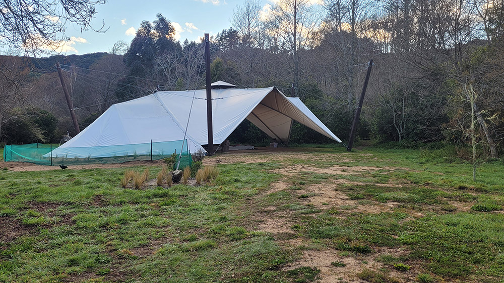 pentacles-gallery-14